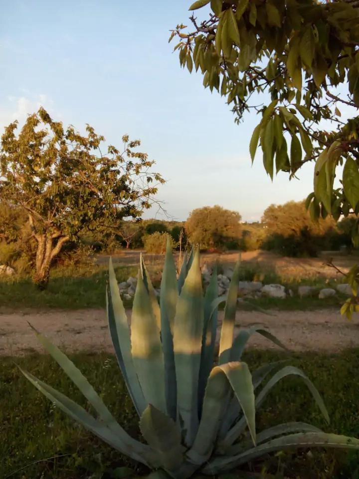 Masseria Fra Diavolo Hostal Castellana Grotte Exterior foto