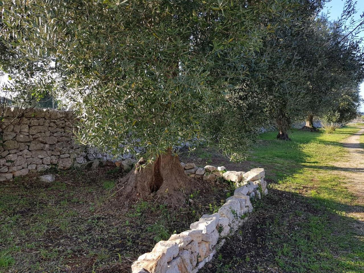 Masseria Fra Diavolo Hostal Castellana Grotte Exterior foto
