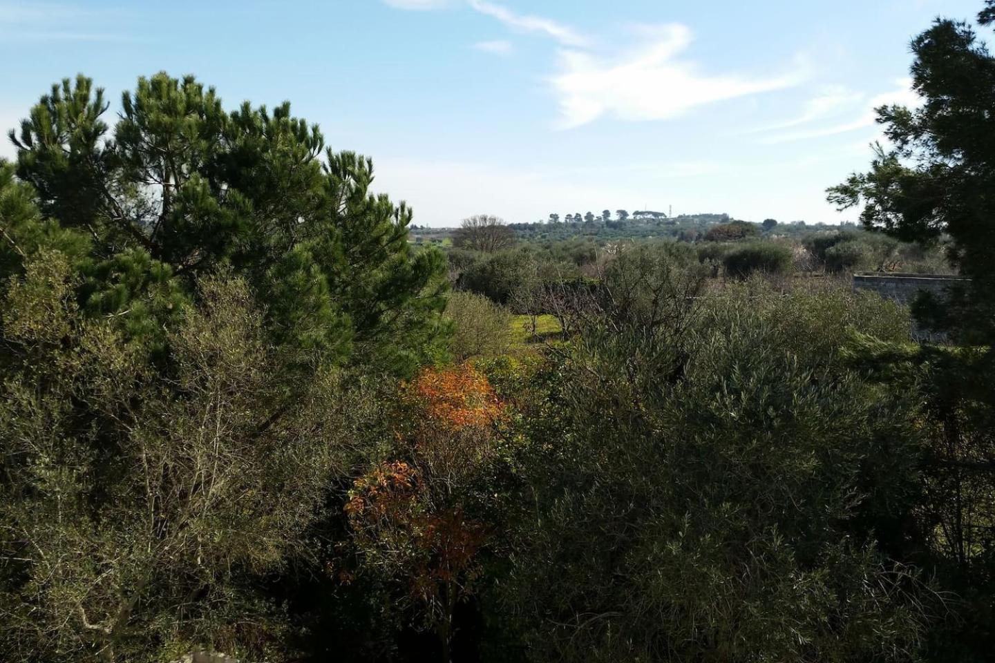 Masseria Fra Diavolo Hostal Castellana Grotte Exterior foto