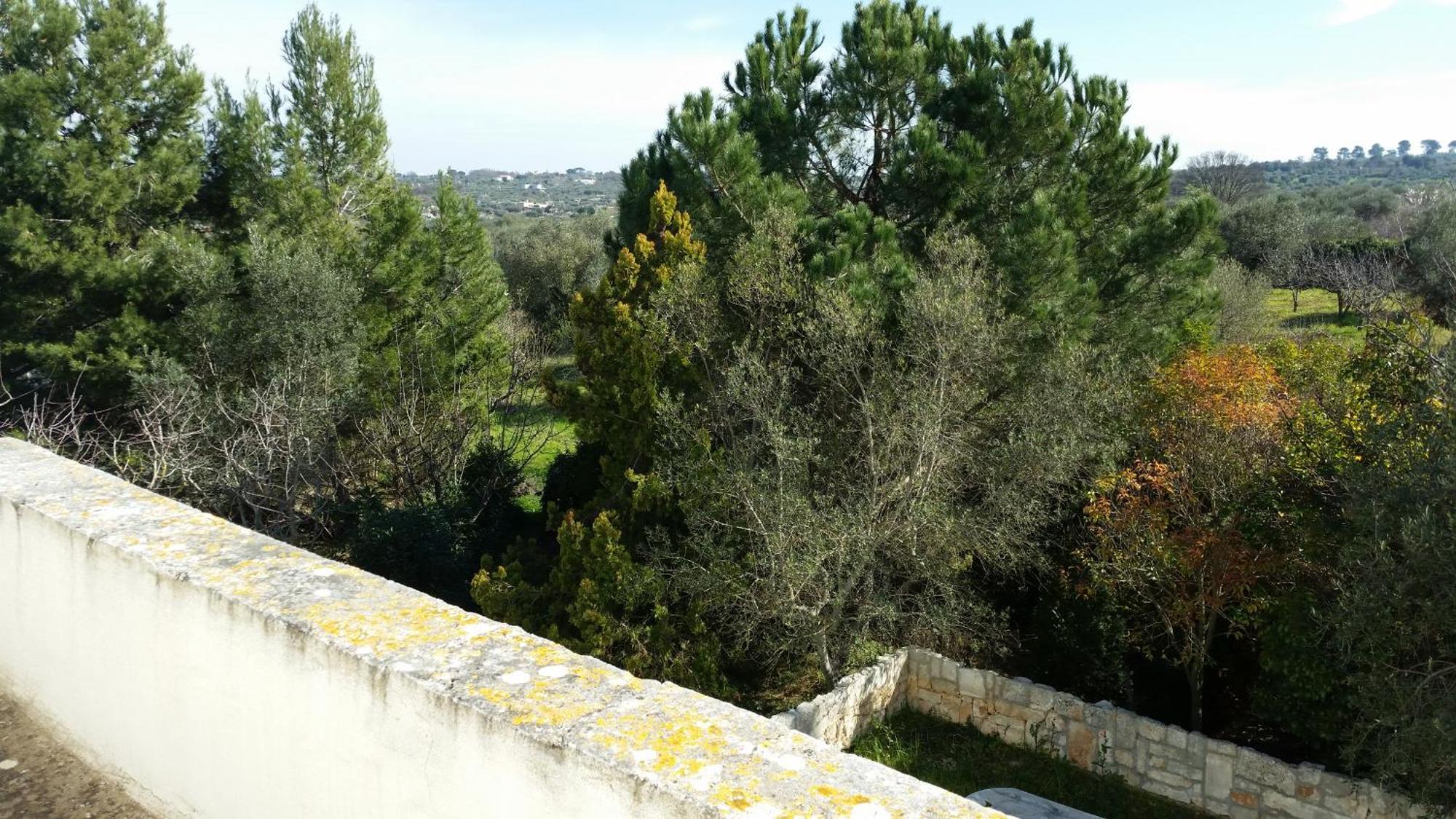 Masseria Fra Diavolo Hostal Castellana Grotte Exterior foto